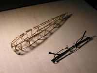 Moustique PICT7552-1024